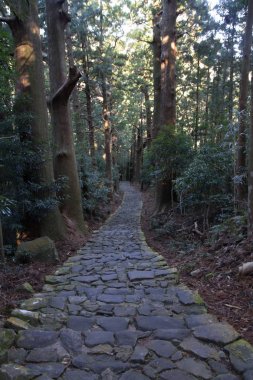 Daimon yamaç Kumano Kodo hac yollarının Wakayama, Japonya