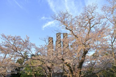 Nirayama reverberatory fırınlar ve kiraz çiçekleri Izu, Shizuoka, Japonya
