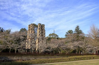 Nirayama reverberatory fırınlar ve kiraz çiçekleri Izu, Shizuoka, Japonya