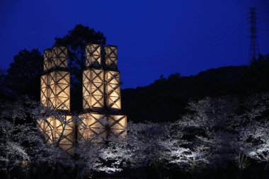 Izu, Shizuoka, Japonya (gece sahnesi Nirayama reverberatory fırınlar ve kiraz çiçekleri)