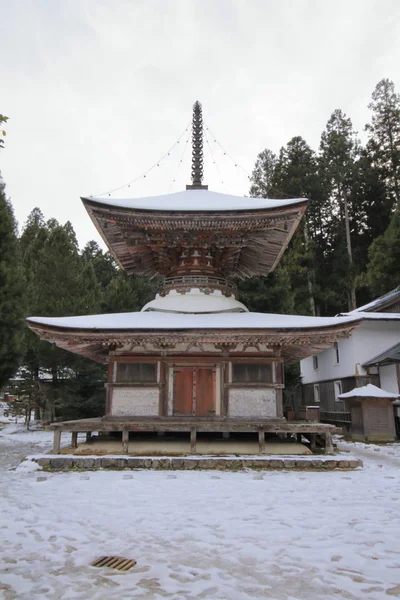 Pagoda Kongo Sanmai-w świątyni w Koya, Wakayama, Japonia — Zdjęcie stockowe