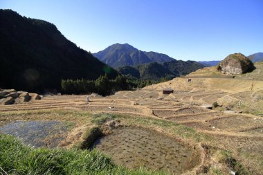 Maruyama Kumano, Mie, Japonya'da teraslı pirinç tarlaları