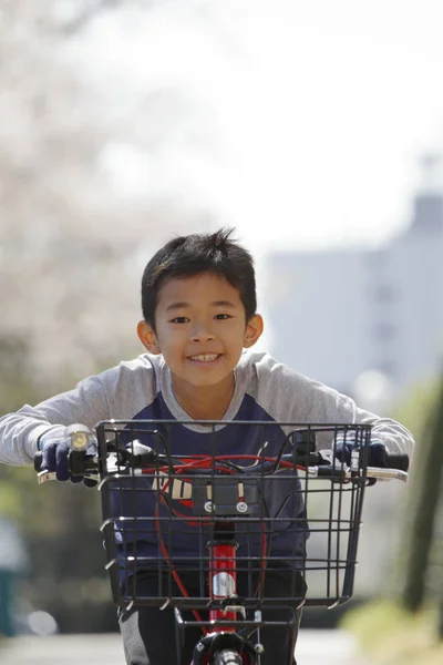 日本男孩在樱花下骑自行车（小学四年级）) — 图库照片