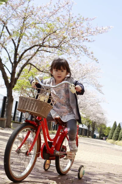 日本女孩骑自行车在樱花下(4岁)) — 图库照片