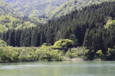 Agano nehri ve Niigata Banetsu batı hattı köprüsü, Japonya