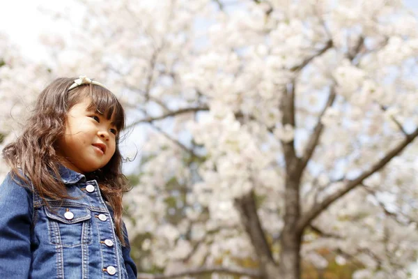 Japonské dívky a Třešňové květy (4 roky staré) — Stock fotografie