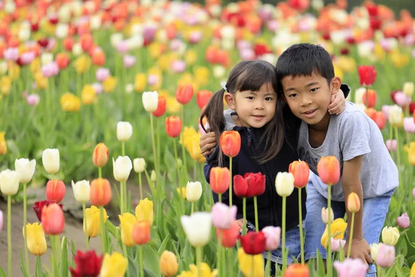 Japon erkek kardeşi ve lale alanı (9 yaşında çocuk ve 4 yaşında kız)