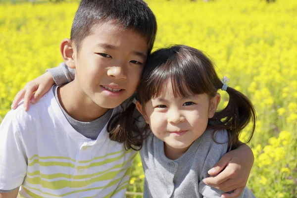 Saudara laki-laki dan perempuan Jepang dan mustard lapangan (9 tahun anak laki-laki dan 4 tahun gadis ) — Stok Foto