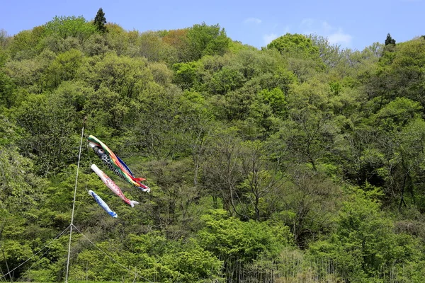 Serpentinas de carpa no lado da montanha do Japão — Fotografia de Stock