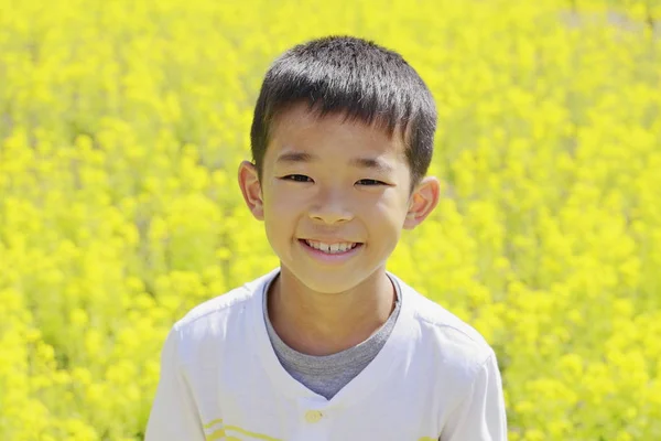 Menino japonês e mostarda de campo (quarta série na escola primária ) — Fotografia de Stock