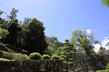 Kochi, Japonya'da Kochi kalesi kale tutmak