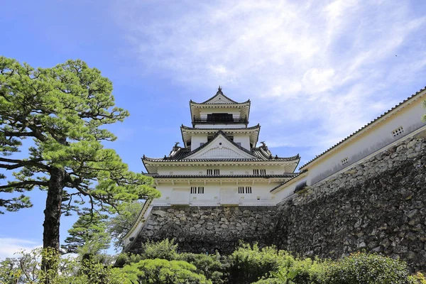 Château donjon de Kochi château à Kochi, Japon — Photo