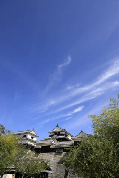 Château donjon de Matsuyama château à Ehime, Japon — Photo