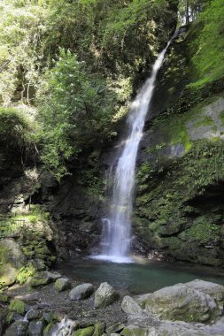 Iya vadisinde Biwa şelalesi, Tokushima, Japonya