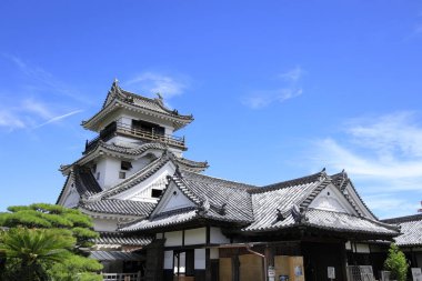 Kochi, Japonya'da Kochi kalesi kale tutmak