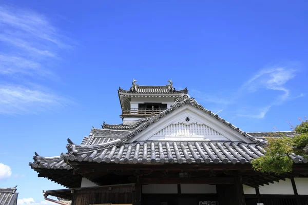 Kochi, Japonya'da Kochi kalesi kale tutmak — Stok fotoğraf