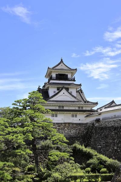 Castillo de Kochi castillo en Kochi, Japón —  Fotos de Stock