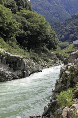 Yoshino nehrindeki Oboke geçidi, Tokushima, Japonya