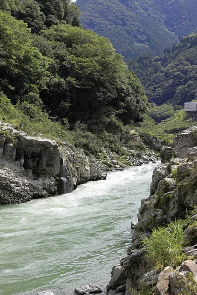 Garganta de Oboke en el río Yoshino, Tokushima, Japón — Foto de Stock