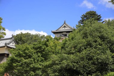 Japonya, Okayama 'daki Bitchu Matsuyama şatosunun kalesi.
