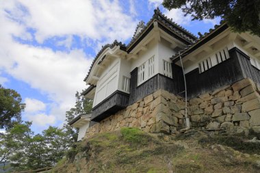 Japonya, Okayama 'daki Bitchu Matsuyama şatosunun kalesi.