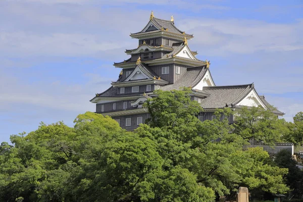 Castello castello di Okayama castello di Okayama, Giappone — Foto Stock