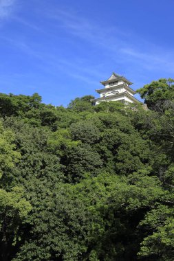 Kagawa, Japonya'da Marugame kale kale tutmak