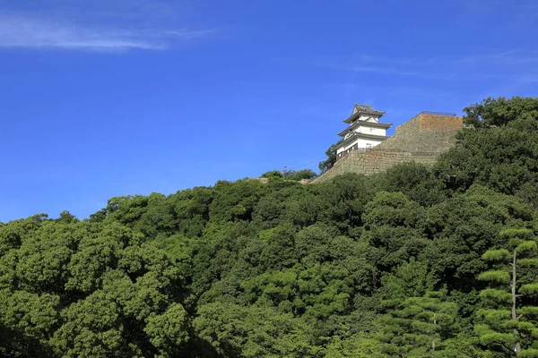 Château donjon de Marugame château à Kagawa, Japon — Photo