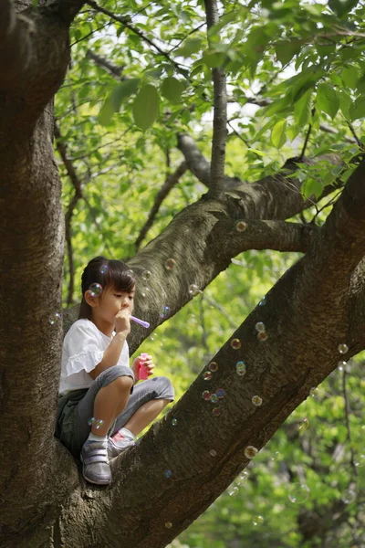 Menina Japonesa Brincando Com Bolha Árvore Anos — Fotografia de Stock