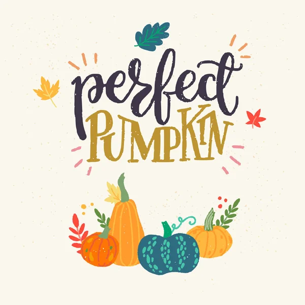 Zucca Perfetta Scrittura Disegnata Mano Unica Clipart Citazione Accogliente Stimolante — Vettoriale Stock