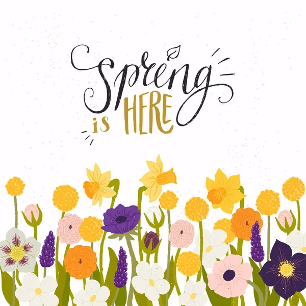 Primavera Está Aquí Inscripción Caligráfica Hecha Vector Marco Floral Hecho — Vector de stock