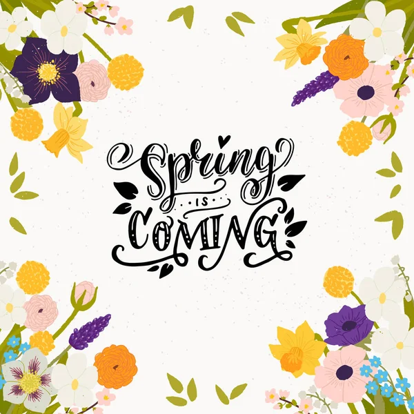 Spring Coming Calligraphic Inscription Made Vector Floral Frame Made Hand — Stock Vector