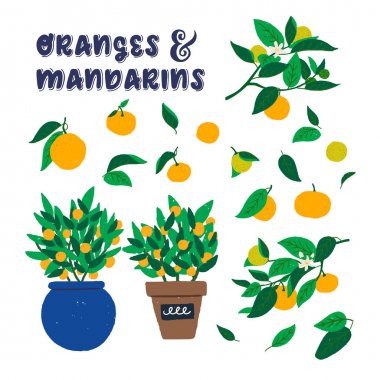 Granches ve yaprakları clipart üzerinde Portakal