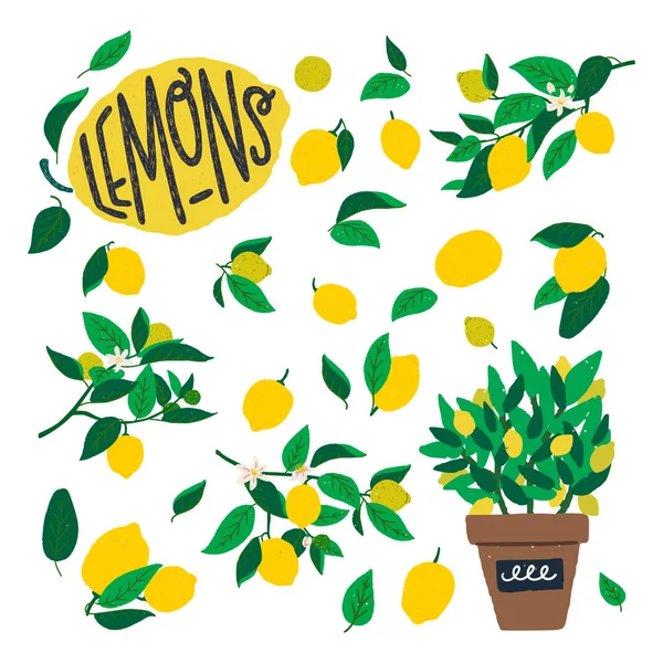 Lemons on granches and leaves clipart — Stock Vector