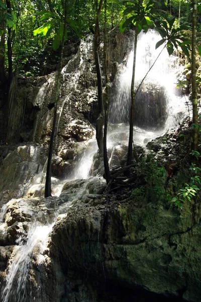 Geïsoleerde Somerset Watervallen Jungle Grot Bij Portland Jamaica — Stockfoto
