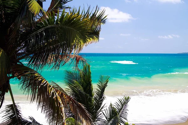 ヤシの木 ポートランド ジャマイカを越えて波のブレーカーと白い泡を持つ青いラグーンの近くのターコイズブルーの海岸線で見る — ストック写真