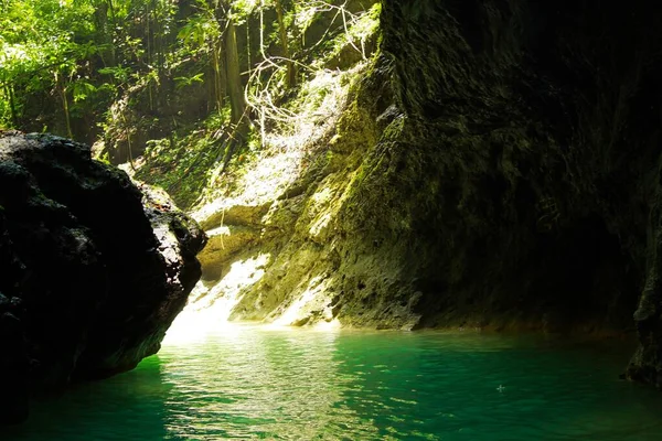 Cascadas Aisladas Somerset Selva Cueva Cerca Portland Jamaica —  Fotos de Stock