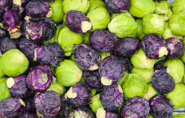 Yeşil ve mor taze Brüksel lahanalarından oluşan tam çerçeve (brassica oleracea)