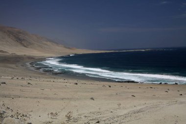 Issız bir körfezde, Atacama Çölü 'nün sonsuz engebeli engebeli sahil şeridi Pan de Azucar' a bakın.