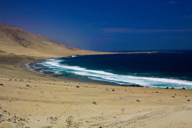 Issız bir körfezde, Atacama Çölü 'nün sonsuz engebeli engebeli sahil şeridi Pan de Azucar' a bakın.