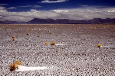 Kurumuş gras ve ufuktaki bulanık dağ silsilesiyle kaplı çorak ve sonsuz düzlüklere bakın - San Pedro de Atacama, Şili yakınlarındaki Maricunga Salt düzlüğü.