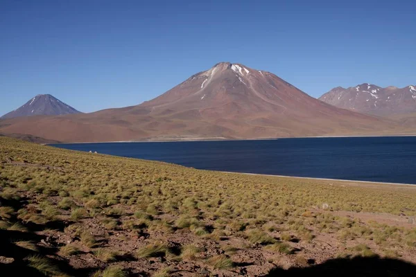 Вид Глибоке Синє Озеро Altiplanic Laguna Lagoon Miscanti Пустелі Атакама — стокове фото