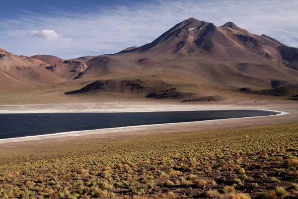 Вид Глибоке Синє Озеро Altiplanic Laguna Lagoon Miscanti Пустелі Атакама — стокове фото