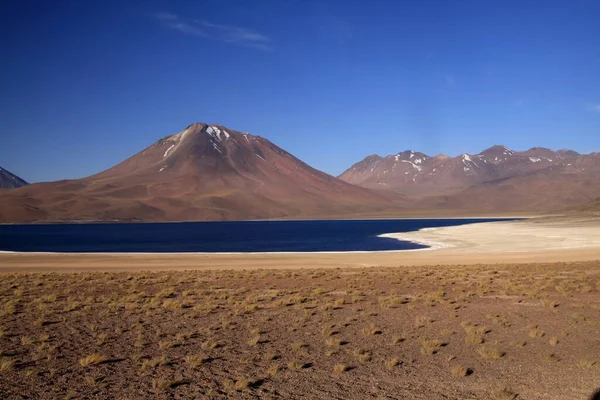 Vista Sobre Lago Azul Profundo Altiplanic Laguna Lagoa Miscanti Deserto — Fotografia de Stock