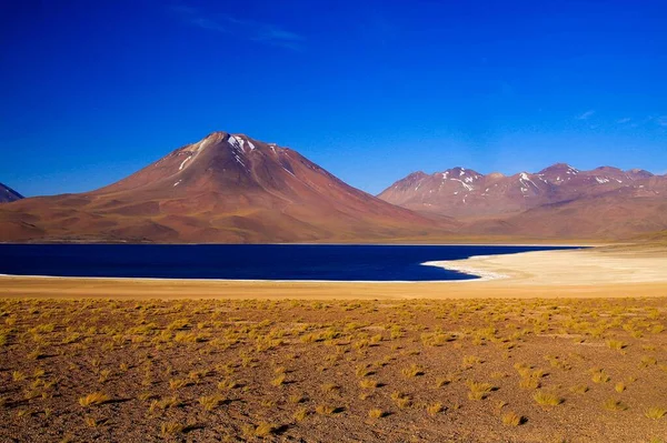Uitzicht Diep Blauw Meer Bij Altiplanic Laguna Lagune Miscanti Atacama — Stockfoto