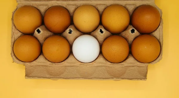 Visão Superior Nove Ovos Castanhos Com Único Ovo Isolado Uma — Fotografia de Stock