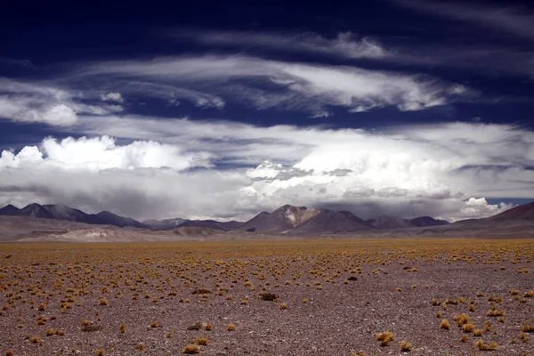 智利圣佩德罗德阿塔卡马附近的Maricunga盐滩高原 无边无际 荒芜无际的平原上点缀着一丛丛干豆 地平线上的山脉模糊不清 — 图库照片