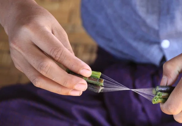 Close Hands Burmese Man Making Silk Thread Lotus Plant Inle — Stock Photo, Image