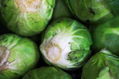 Yeşil taze Brüksel lahanasından Makro yakın çekim (brassica oleracea)