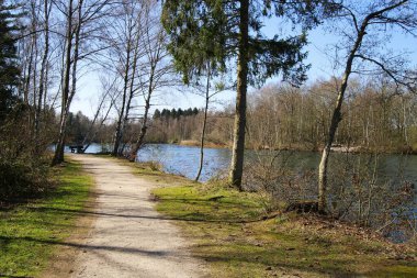 Baharda çıplak ağaçlarla dolu göl boyunca uzanan boş yola bak - Brueggen, Venekotensee, Almanya